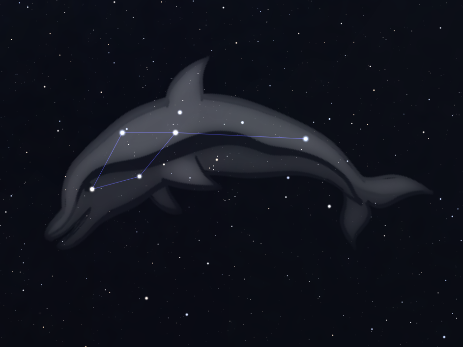 Gwiazdozbiór Delfin