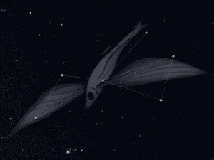 Gwiazdozbiór Ryba Latająca