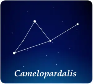 Gwiazdozbiór Żyrafy