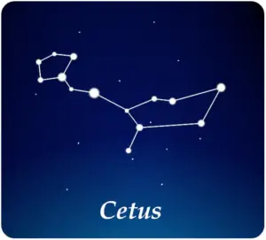 Gwiazdozbiór Wieloryb