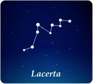 Gwiazdozbiór Jaszczurka